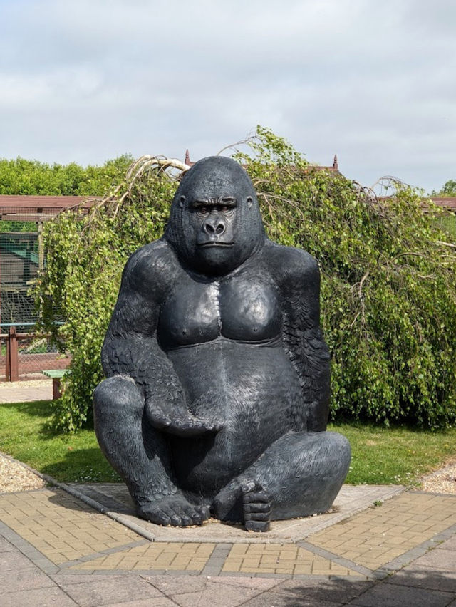 Monkey Haven Isle of Wight