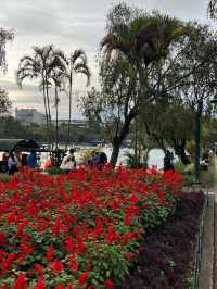 🌲✨ Breathe Easy at Burnham Park — The Heartbeat of Baguio 🚣‍♀️🌼  