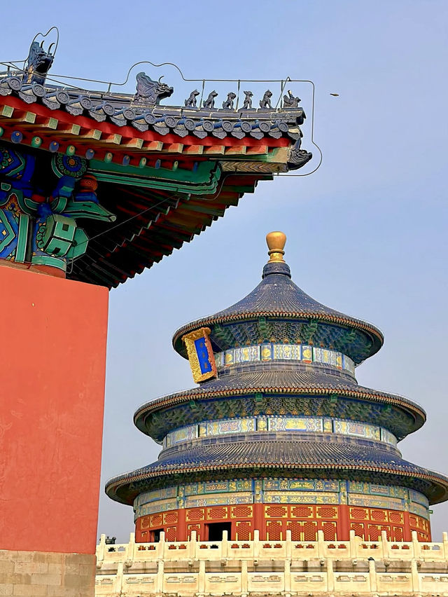 The Temple of Heaven ~天坛公园