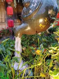 magical Lijiang old town