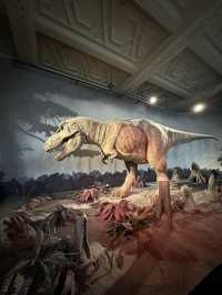 The National History Museum - London 