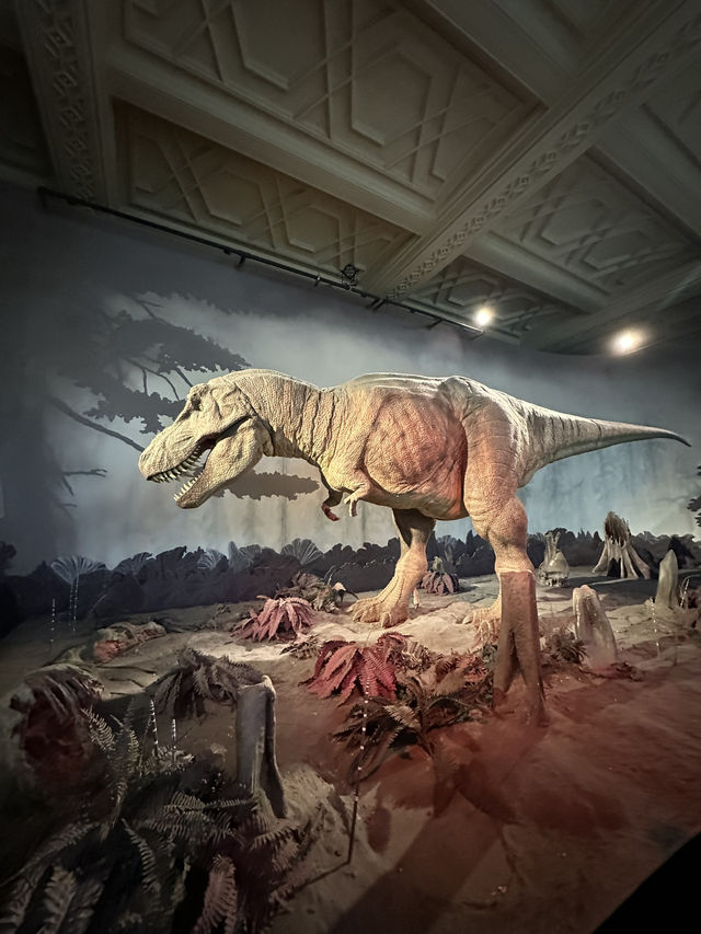 The National History Museum - London 