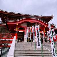 Tokyo to Nagoya: City Sights, History & Local Flavors