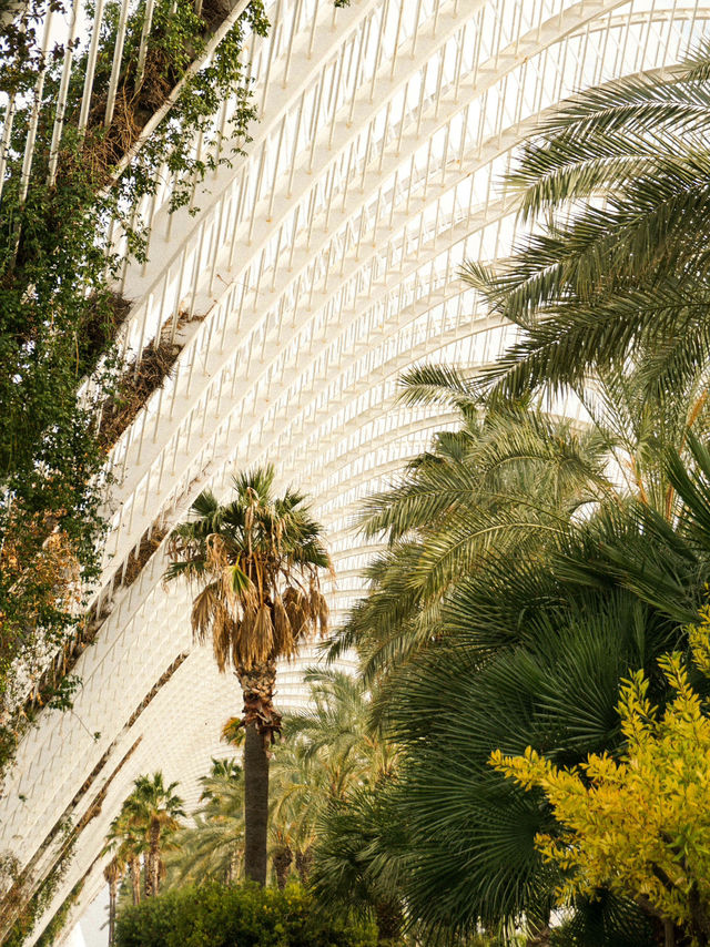 🧡🍊 Weekend Getaway in Valencia: Markets & Hidden Streets 🌿🏙️ 🧡🍊 Weekend Getaway in Valencia: Markets & Hidden Streets 🌿🏙️