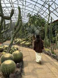 Nature Unveiled๐ณ  Hallim Park in Jeju