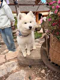 Discovering Yuhu Village
