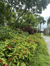 💮 🌿✨ Gardens by the Bay -Daytime