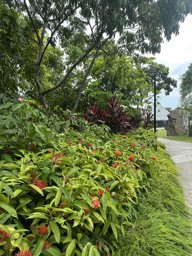 💮 🌿✨ Gardens by the Bay -Daytime