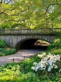 Central Park, it’s basically Hollywood’s favorite green screen!