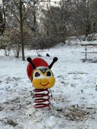 A Peaceful Winter Morning Walk Through Krasiński Garden