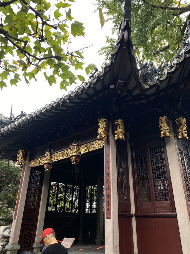 🪷День 2 -Сад Юйюань, старый город и деловой центр Шанхая 🪷День 2 -Сад Юйюань, старый город и деловой центр Шанхая