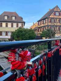 Colmar Dreamscape🌸