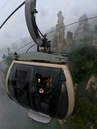 Как Увидеть парк Аватар без толп!