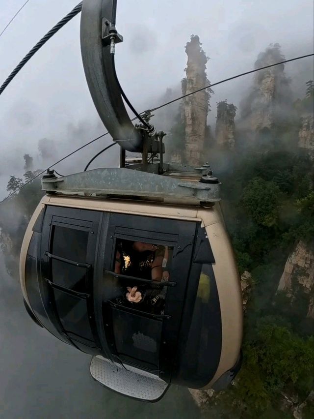 Как Увидеть парк Аватар без толп!