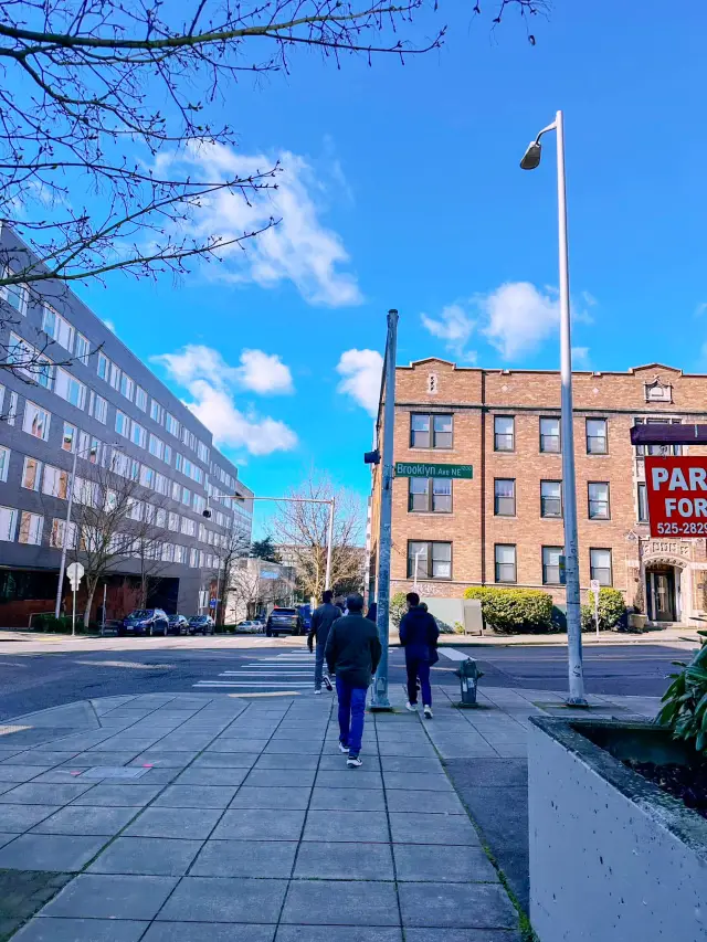 Cherry Blossoms & Conscious Campus: Spring at UW 2026 🌸🏛️ 