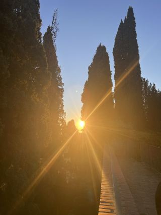 Dreaming of that under-the-radar Italian gem? 🤫 Let me spill on Asolo—a stunning hilltop town in Veneto packed with vibes, food, and Instagrammable sights around every corner!

Top Spots to Visit in Asolo 🇮🇹

Rocca di Asolo (Asolo Fortress)
Climb the tower for panoramic views you’ll rave about—it’s seriously breathtaking and the whole town unfolds beneath you. Worth every single step and a must if you want those classic Asolo shots.
Address: Via Foresto Vecchio, 31011 Asolo TV
Hours: Wed–Mon 10:00–17:00 (closed Tuesdays)

Piazza Garibaldi & Centro Storico
The main square is the heartbeat of Asolo: full of outdoor cafes, friendly locals, and unreal medieval streets. Perfect for chilling, people-watching, or just soaking in the small town magic.

Cattedrale di Santa Maria Assunta
Take a peek inside this lovely cathedral just steps from Piazza Garibaldi—the art and calm inside make it a perfect escape.

Foodie tip: If you love Italian food, eat anywhere in town! Seriously. Every trattoria offers mouthwatering local dishes—try risotto Asolano and sample Prosecco from the region. Pop into Al Bacaro or Due Mori for unforgettable meals.

Why Asolo wins:
· Less touristy than nearby hot spots, so the vibe is relaxed and genuinely Italian.
· The streets themselves are gorgeous—bring comfy shoes and your best camera.
· Every corner gives you a new view: green hills, pretty homes, and that signature Veneto charm.

Practical Bits:
Getting There: Best reached by car or local bus from Treviso or Bassano del Grappa.
Getting Around: Walk everywhere—the old town is compact and designed for roaming.
Weather: It’s prettiest from late spring to early autumn, but always bring a light jacket for the evening.

#AsoloItaly  #VenetoViews  #HiddenGems  #ItalyTravel 