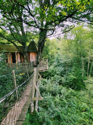 Sky-High Spa Cabin in Jura 🍂