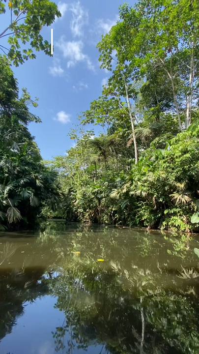 How to Visit the Amazon Rainforest on a BUDGET! 🇪🇨
