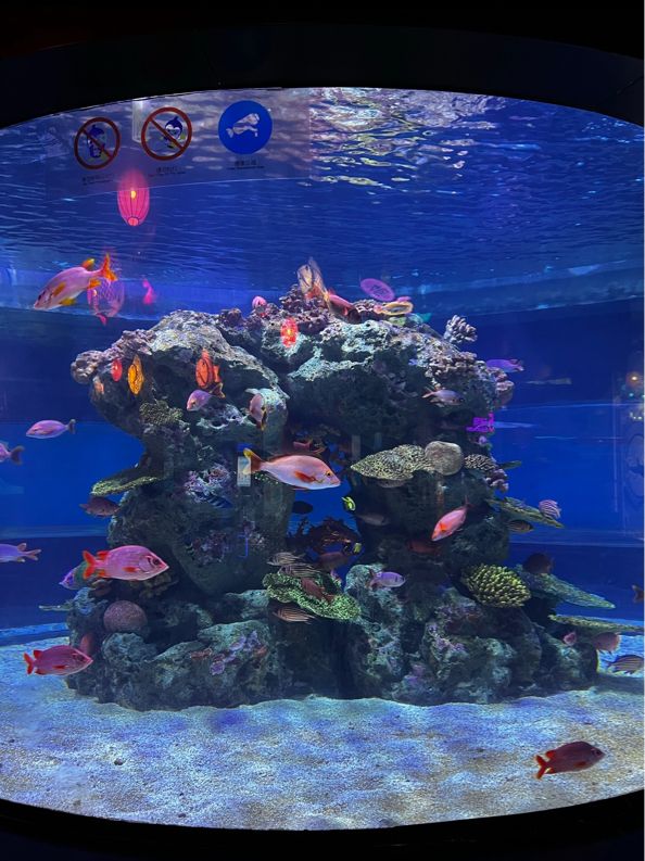 Grandview Aquarium- Guangzhou 