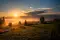 soren_2840