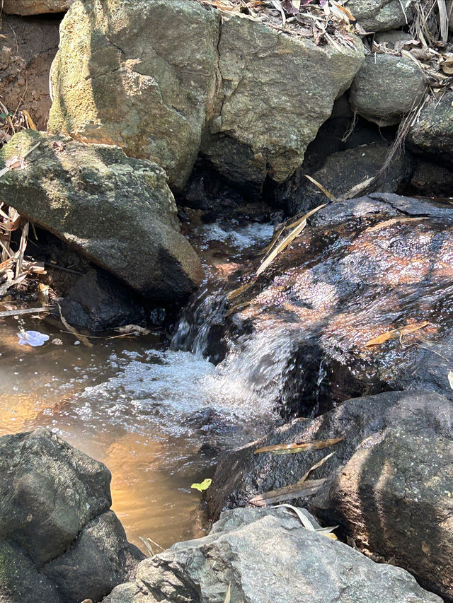 Chiang Mai's beautiful hike to Wat Pha Lat temple