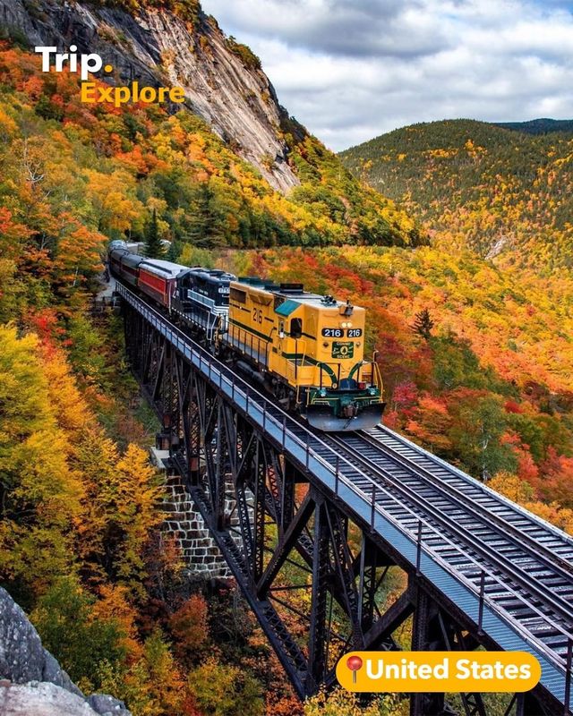 5 iconic places to enjoy the aura of yellow color