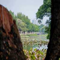 放假去邊玩❓短途遊玩好推薦🏞️『廣州•東山湖公園』