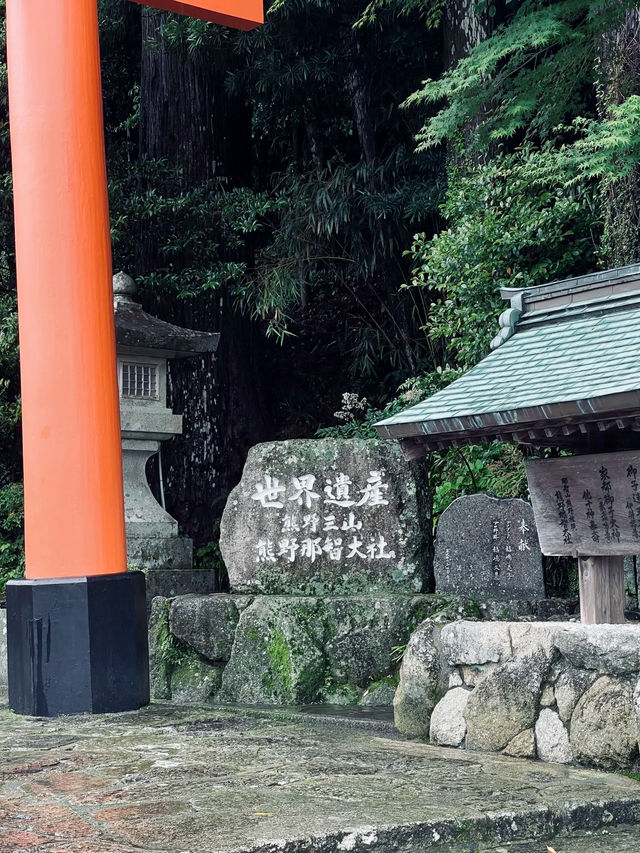 The Enchanting Kumano Nachi Taisha Shrine 🌸