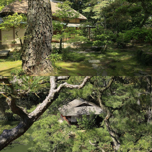 日本遊玩推薦—栗林公園