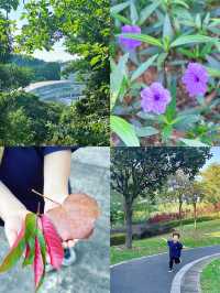 廣州後花園|一站式休閒遛娃休寶藏親子