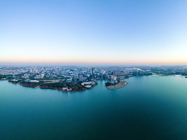 到獨墅湖公園一睹紅杉在冬日裡最後也是最倔強的“火紅”盛景