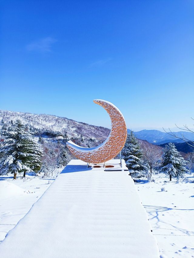 吉林絕美小眾賞雪地：在這個冬天誤入仙境
