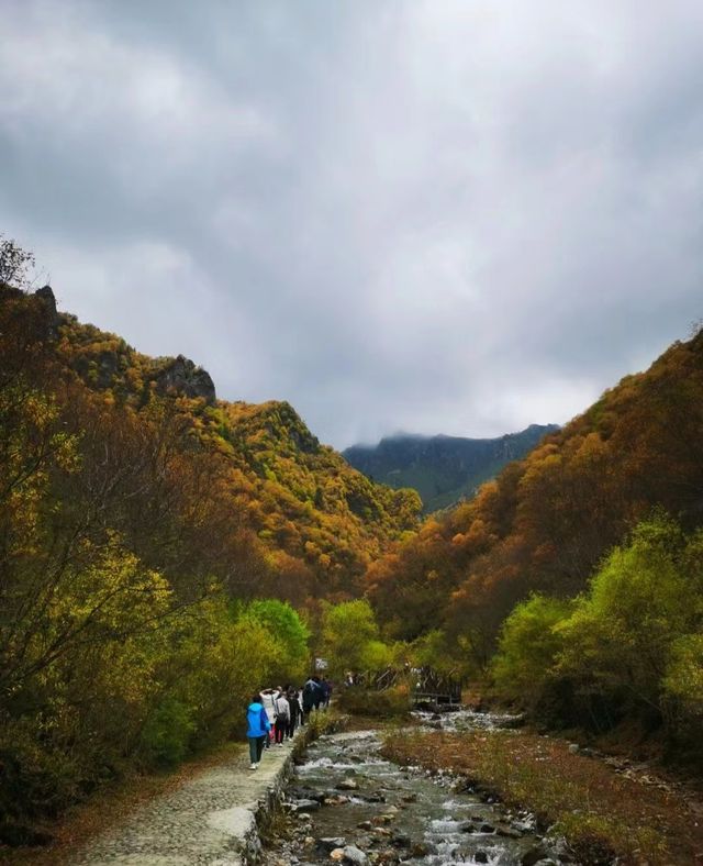 海東市互助縣—扎龍溝之秋