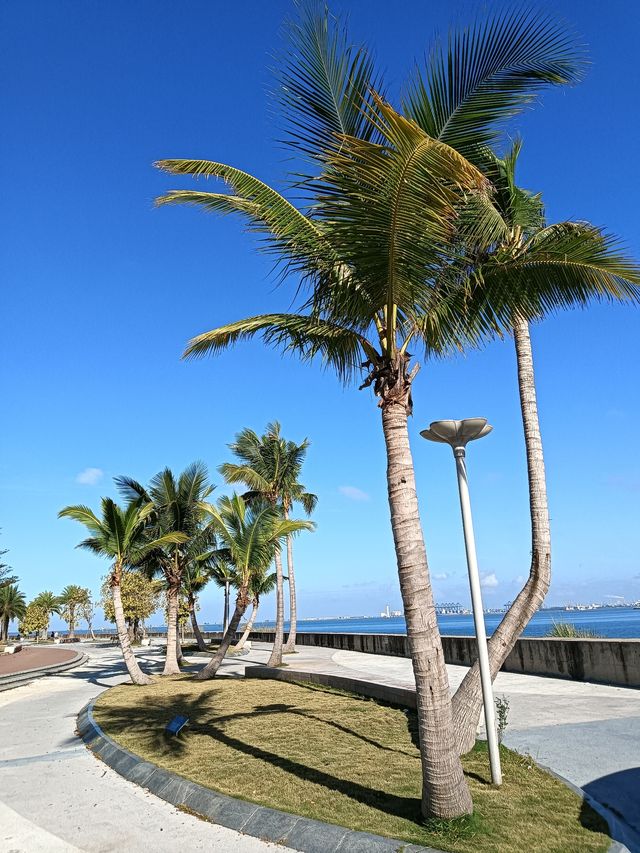 我愛海花島～海花島旅居紀實（一）