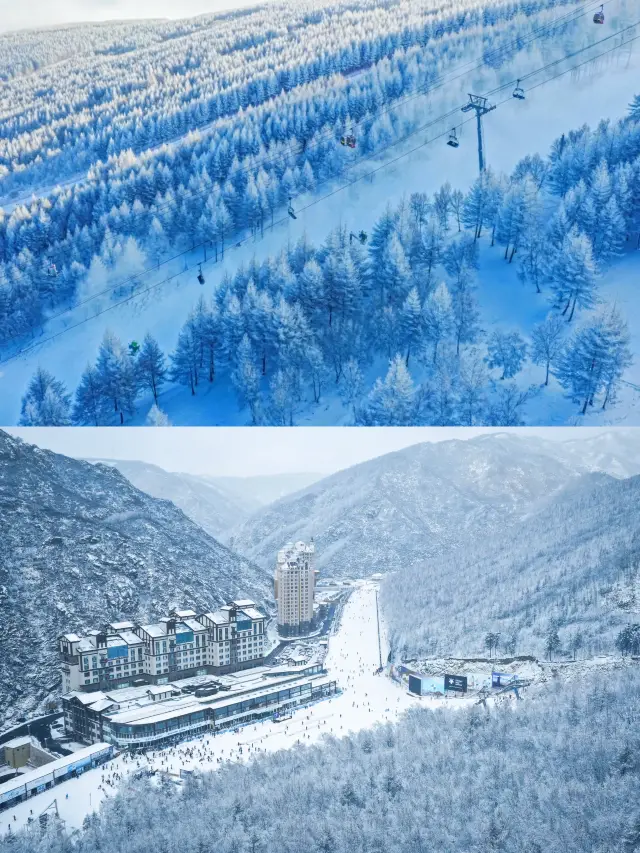 Wanlong Ski Resort, China's powder snow paradise