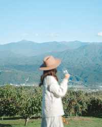 我的長野之旅：騎行果園，採摘蘋果，享受美味午餐！