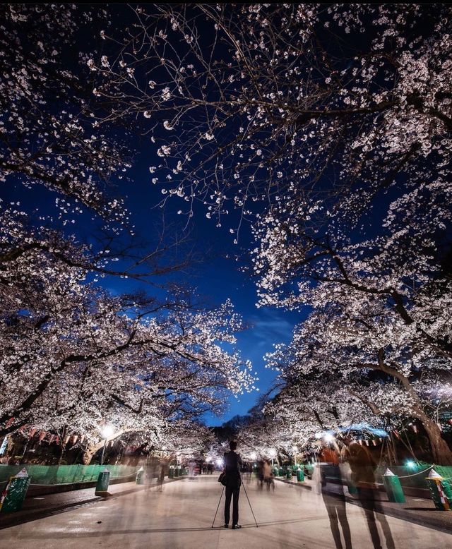 寒暑假必看東京必玩10大景點