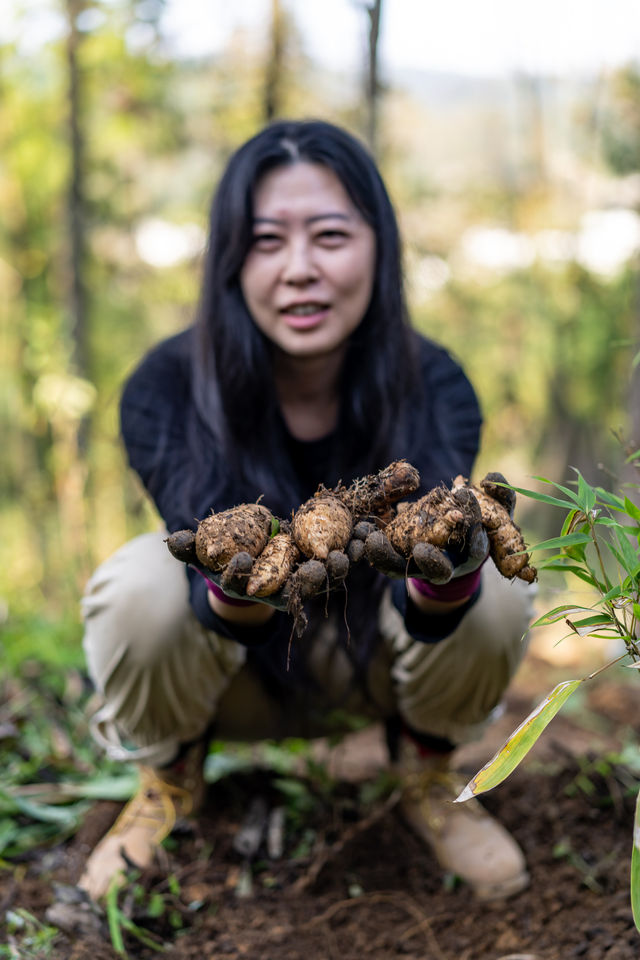昭通彝良縣小草壩，峽谷飛瀑下的尋天麻之旅