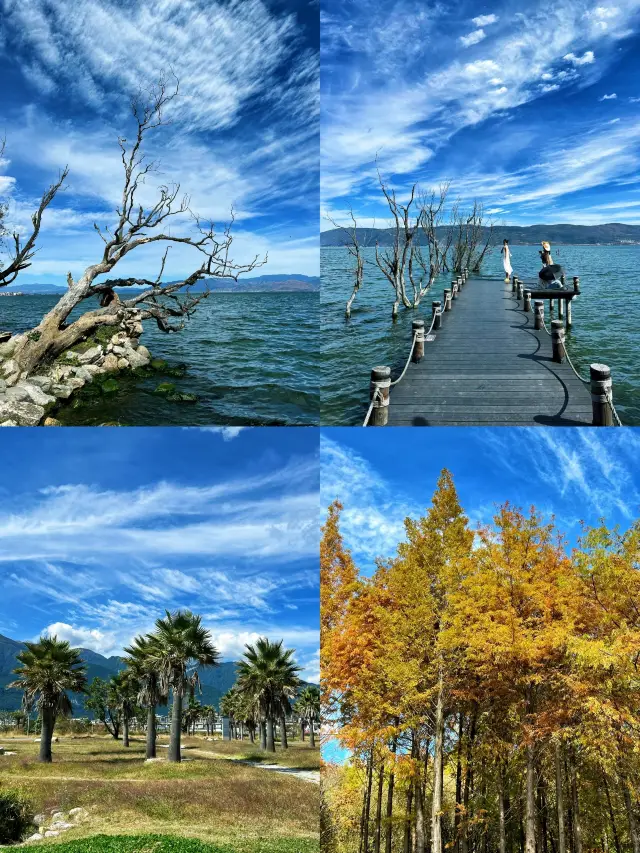 大理洱海騎行，這條路線才是精華