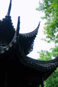 親子遊好去處/蘇州後花園—拙政園