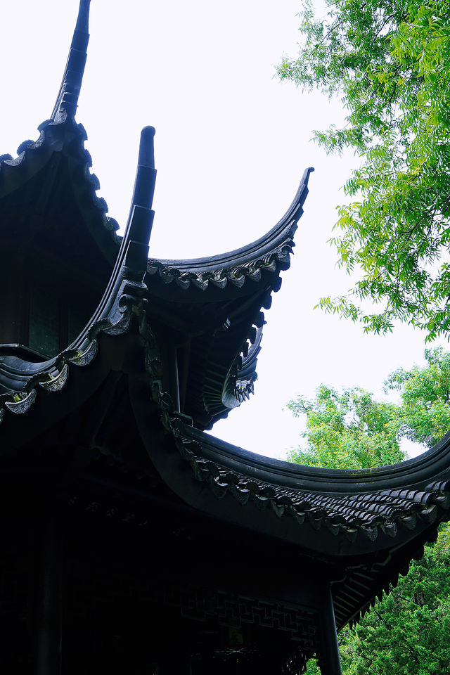 親子遊好去處/蘇州後花園—拙政園 親子遊好去處/蘇州後花園—拙政園