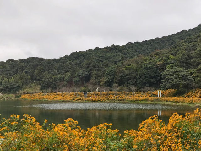 石門國家森林公園