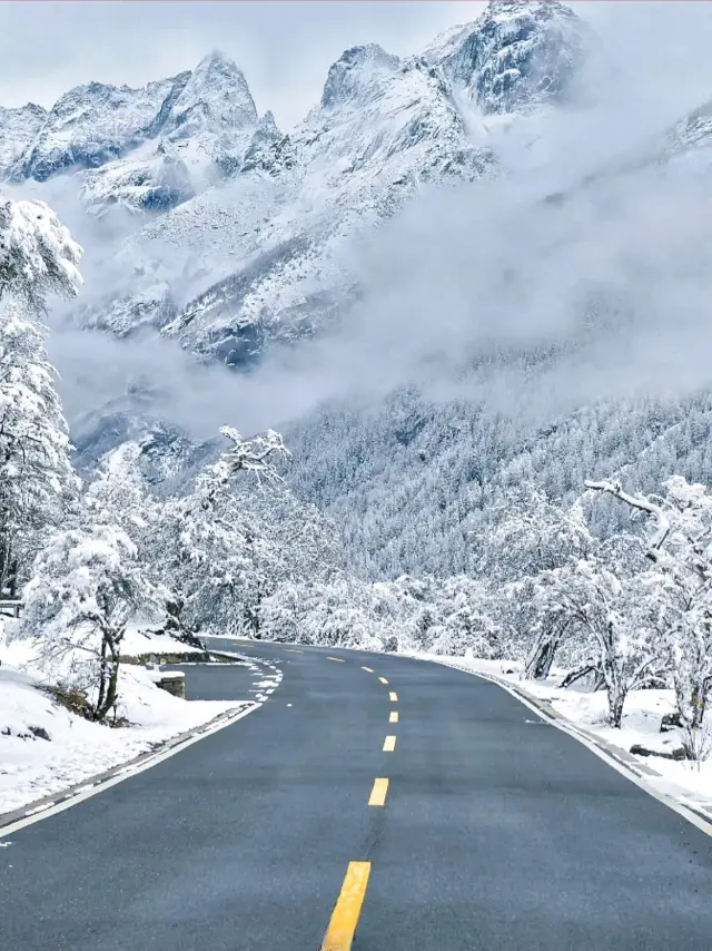 Don't go to the northeast anymore, come to Siguniang Mountain to see the snow!