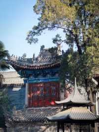 西安小眾景點｜大隱隱於市 藏在老城區被低估的千年道觀