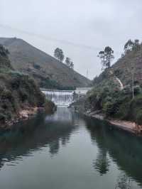 這是“三華李”的產地