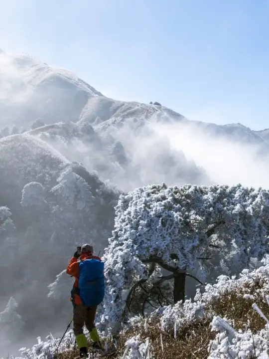 We should make a trip to Wugong Mountain this winter
