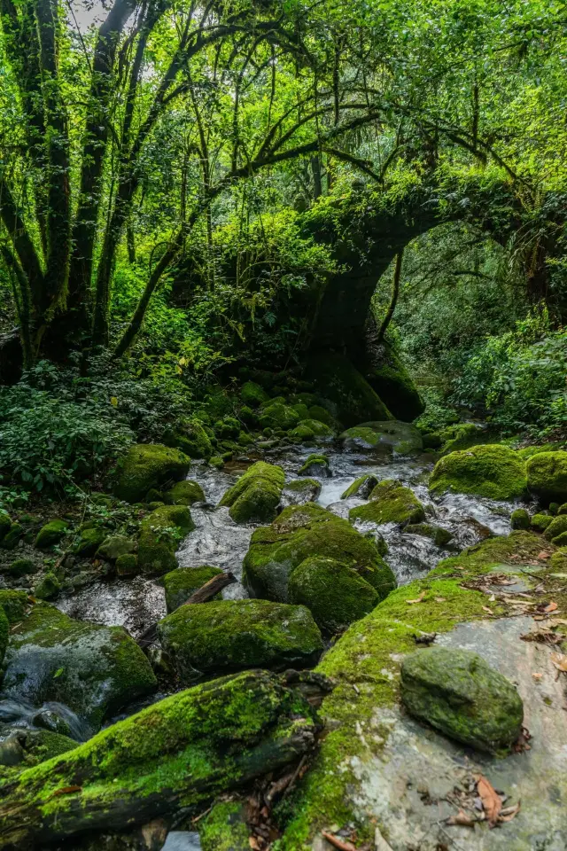 保山南齋古道