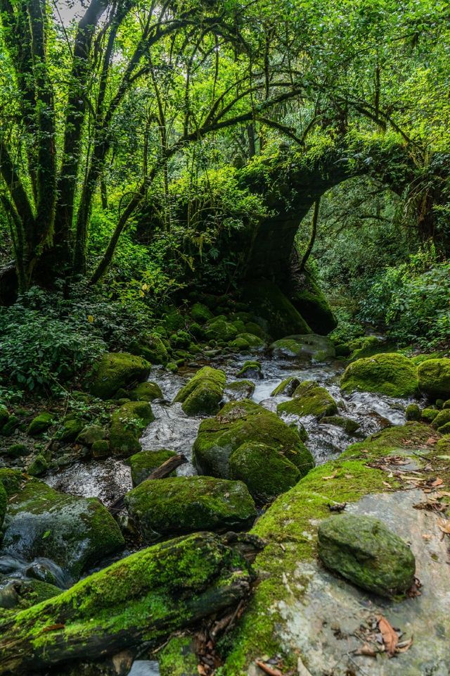 保山南齋古道