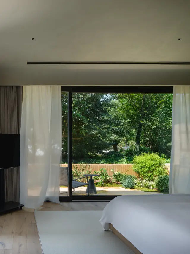 My private homestay | My window is fitted with a forest