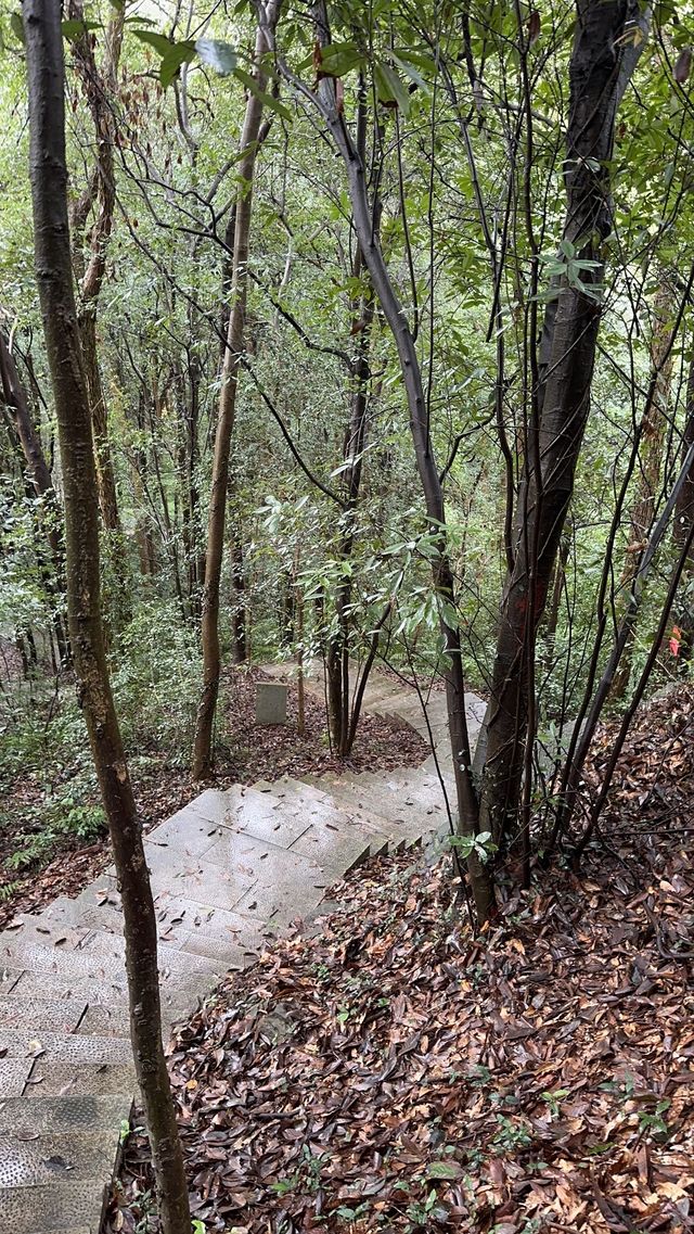 杭州中級徒步路線，龍井—九溪十八澗—馬兒崗—滿覺陇—虎跑